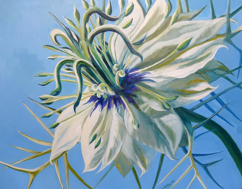 White flower with purple center