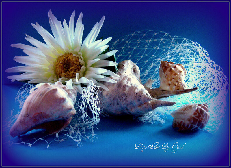 White Flower with Seashells