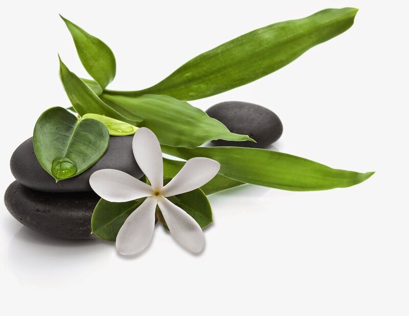 White Flower with Stones
