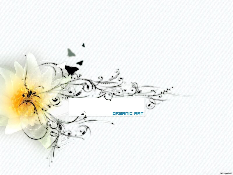White Flower with Swirls — Calm