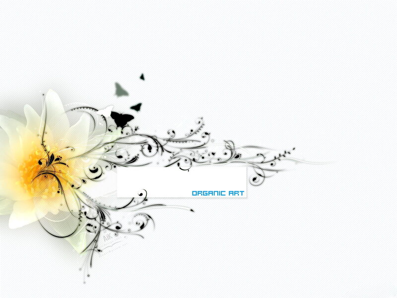 White Flower with Swirls — Serene, Digital Art