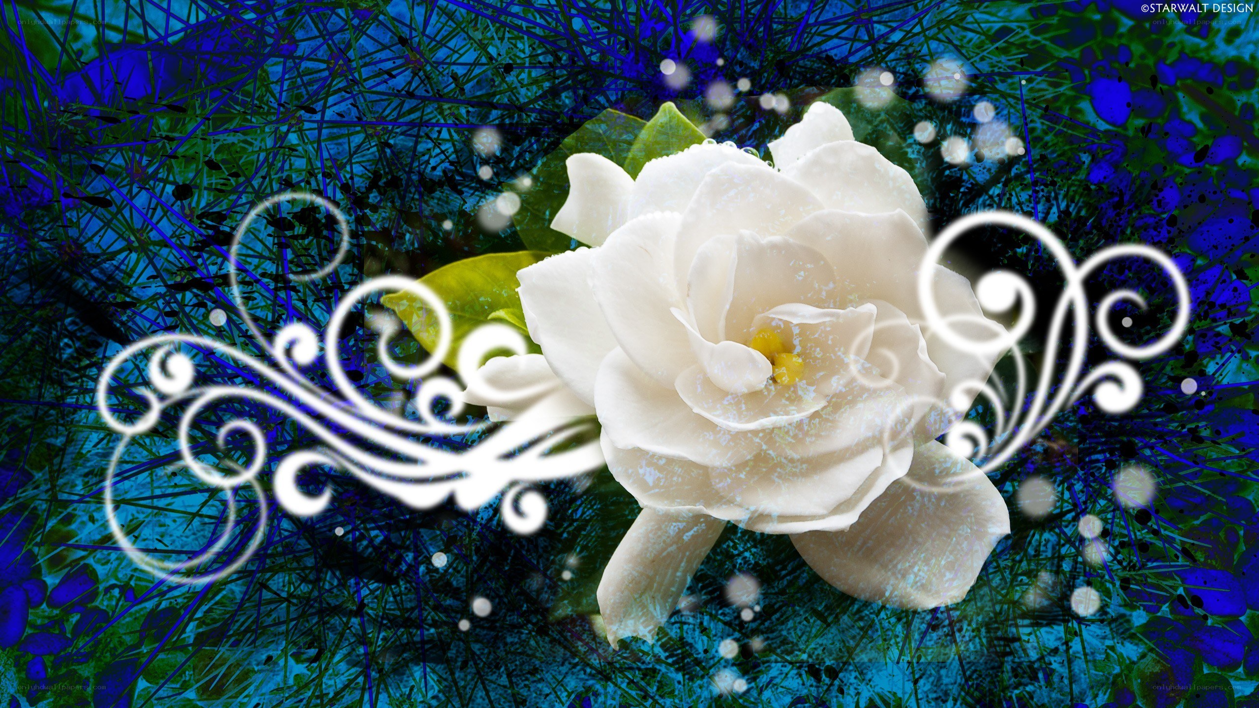 white flower with swirls
