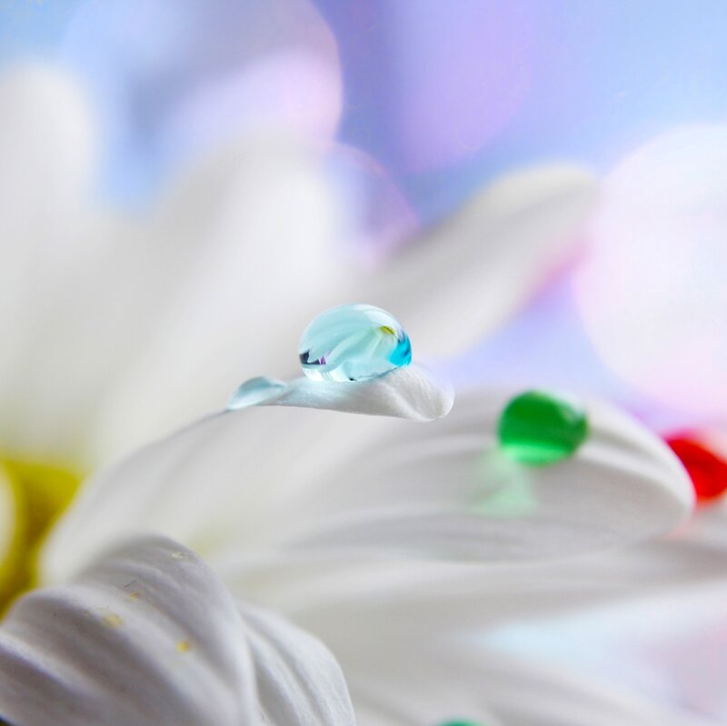 White Flower with Water Droplets — Serene, Photograph, Water Droplet