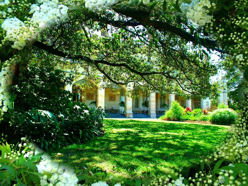 White-flowered Archway