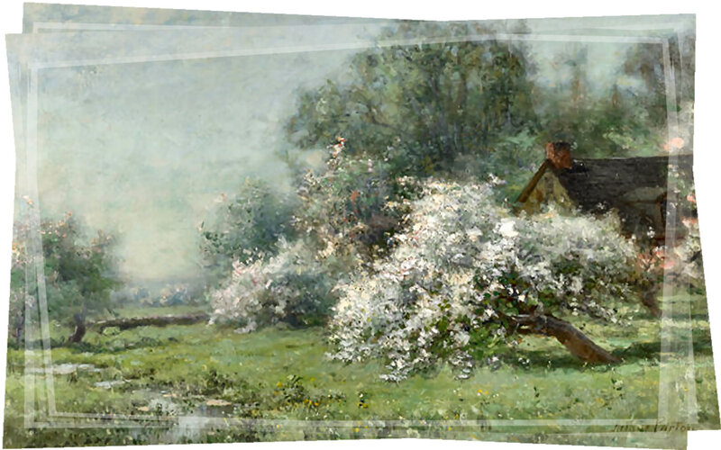 White-flowered Tree — Green, Serene