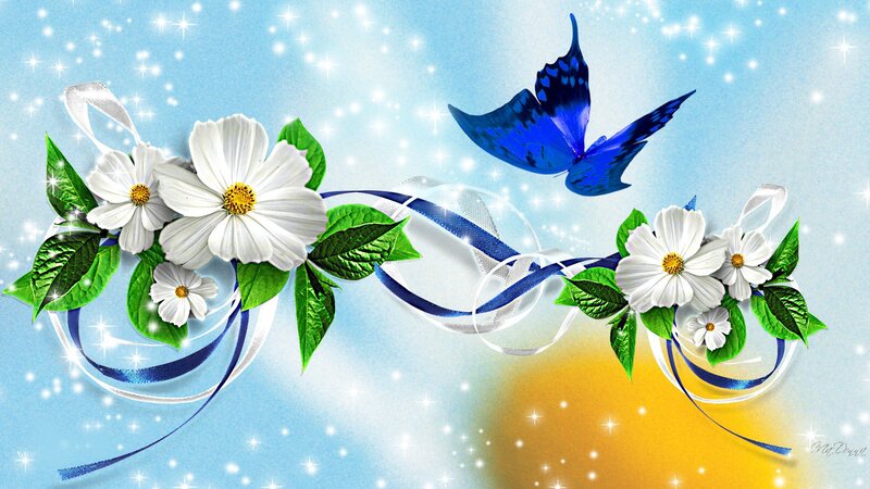 White Flowers and Blue Butterfly