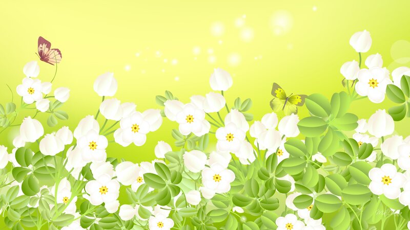 White Flowers and Butterflies — Green, Serene, Spring