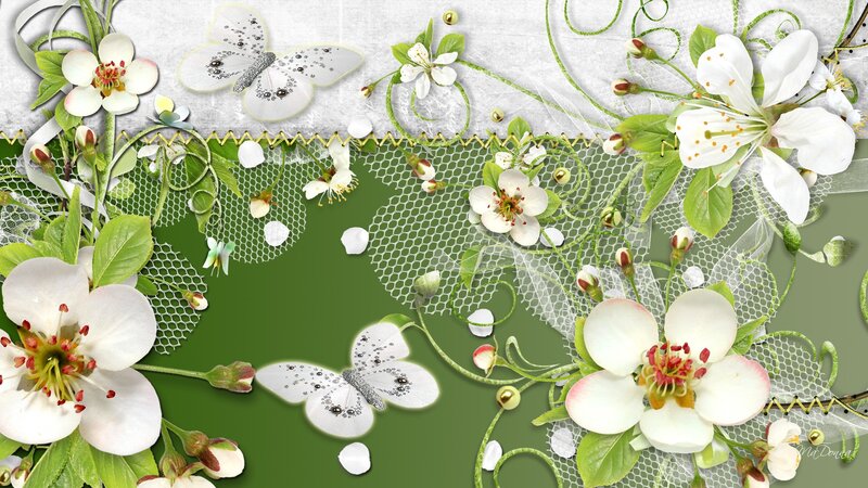 White Flowers and Butterflies — Green, Serene