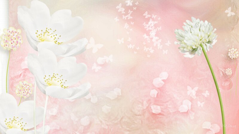White Flowers and Butterflies — Pink