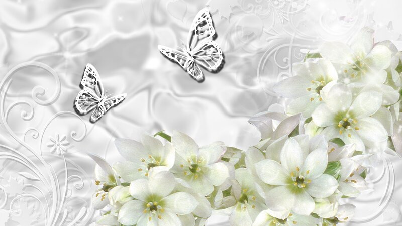White Flowers and Butterflies — Serene, Digital Art