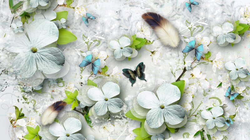 White Flowers and Butterflies — Serene, Spring