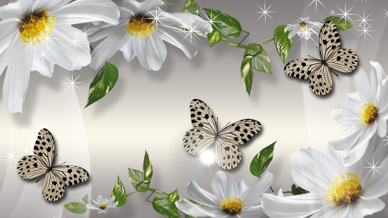 White Flowers and Butterflies — Serene