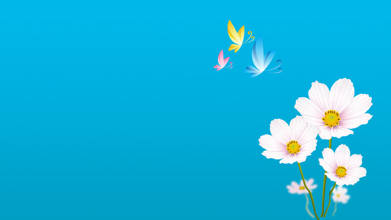 White Flowers and Butterflies