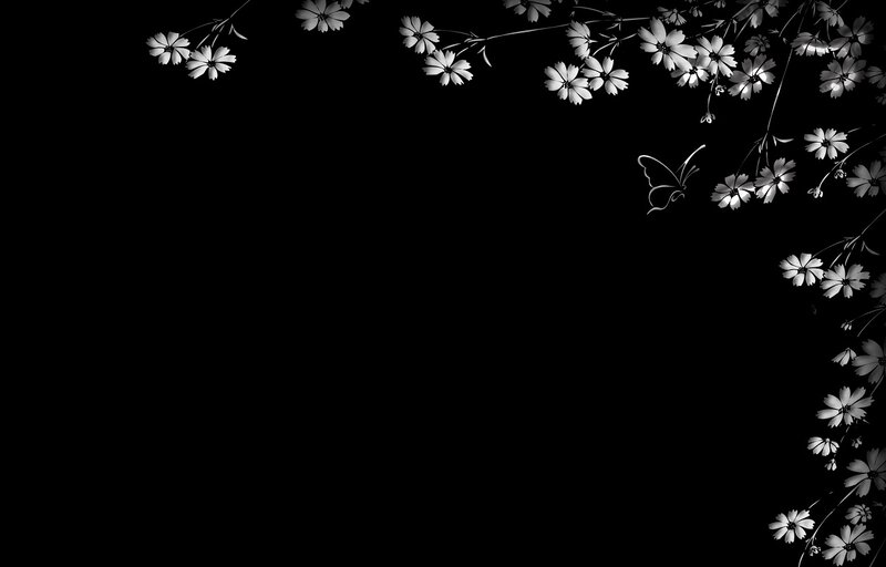 White Flowers and Butterfly — Black, Serene