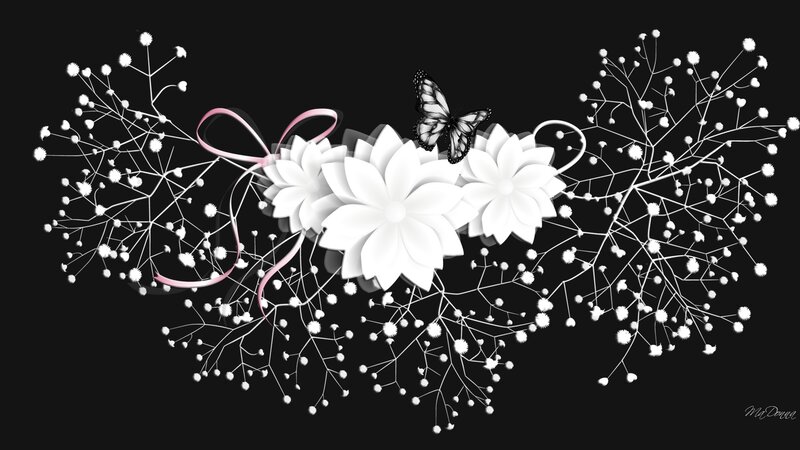 White Flowers and Butterfly — Black