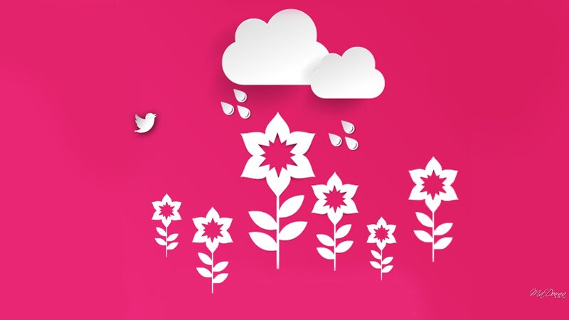White Flowers and Clouds