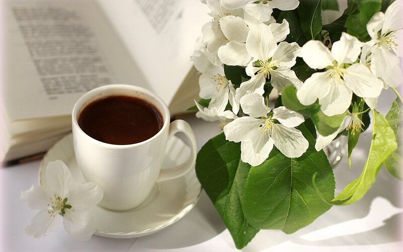 White Flowers and Coffee Cup — Serene