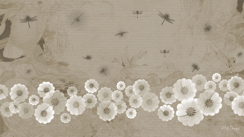 White Flowers and Dragonflies