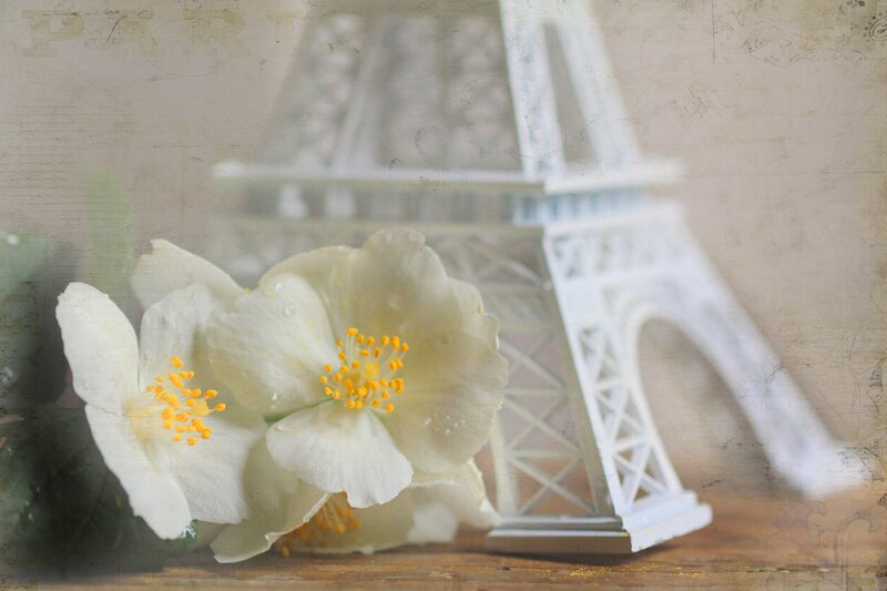 White Flowers and Eiffel Tower