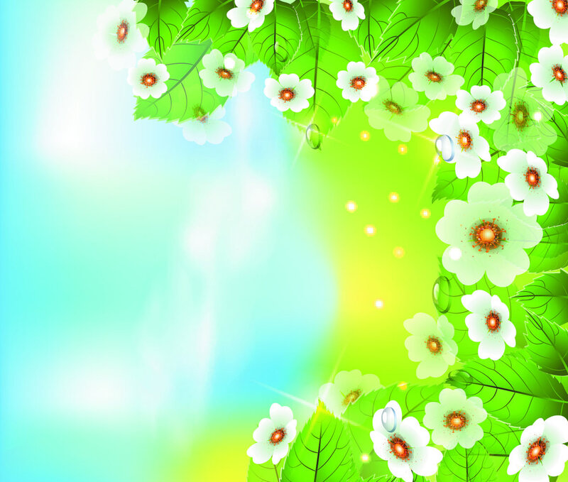 White Flowers and Green Leaves — Bright