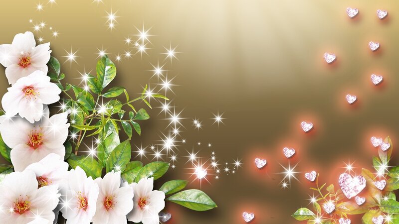 White Flowers and Hearts