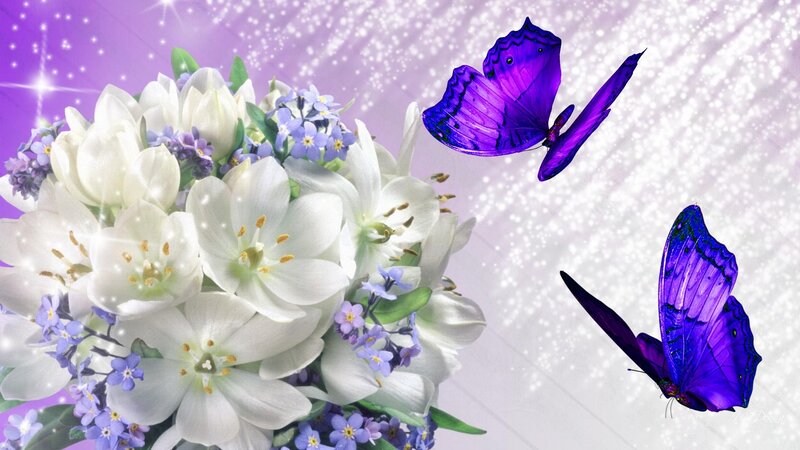White Flowers and Purple Butterflies — Dreamy