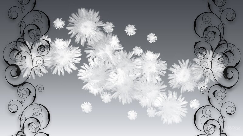 White Flowers and Swirls — Black