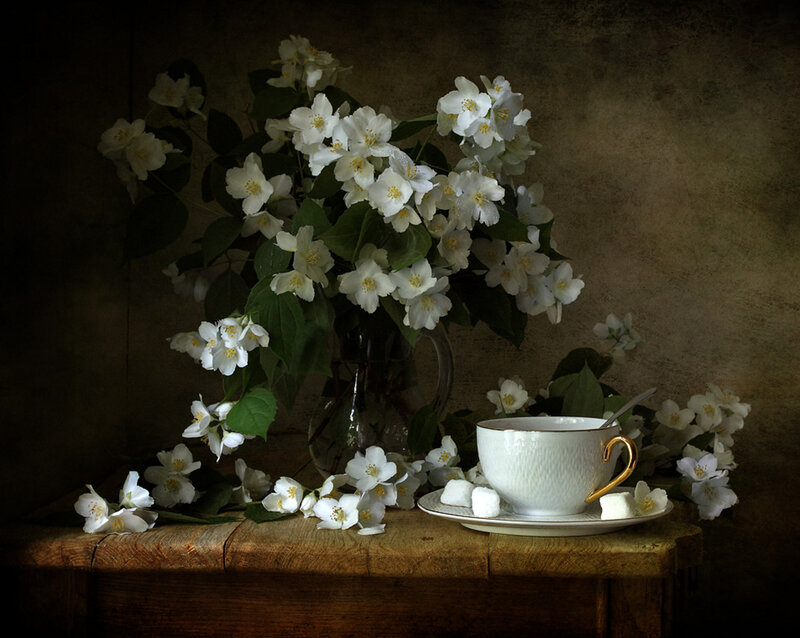 White Flowers and Teacup — Serene