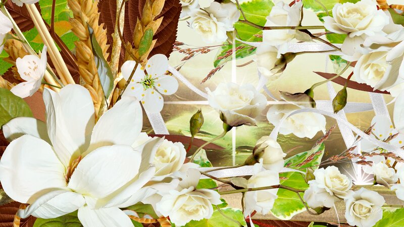White Flowers and Wheat