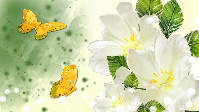 White Flowers and Yellow Butterflies