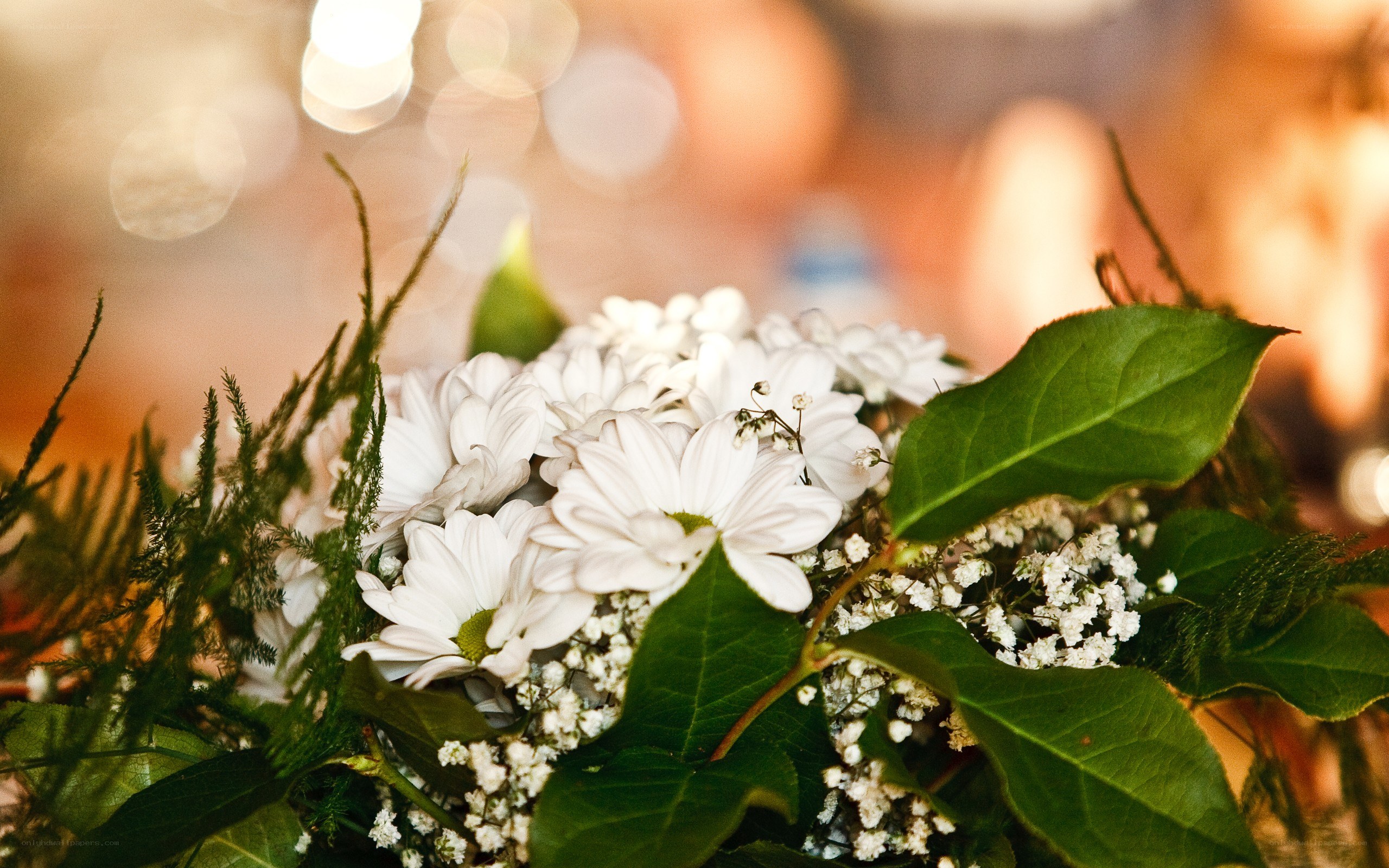 white flowers bouquet