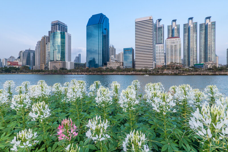 White Flowers by River — Green