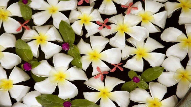 white flowers floating on water