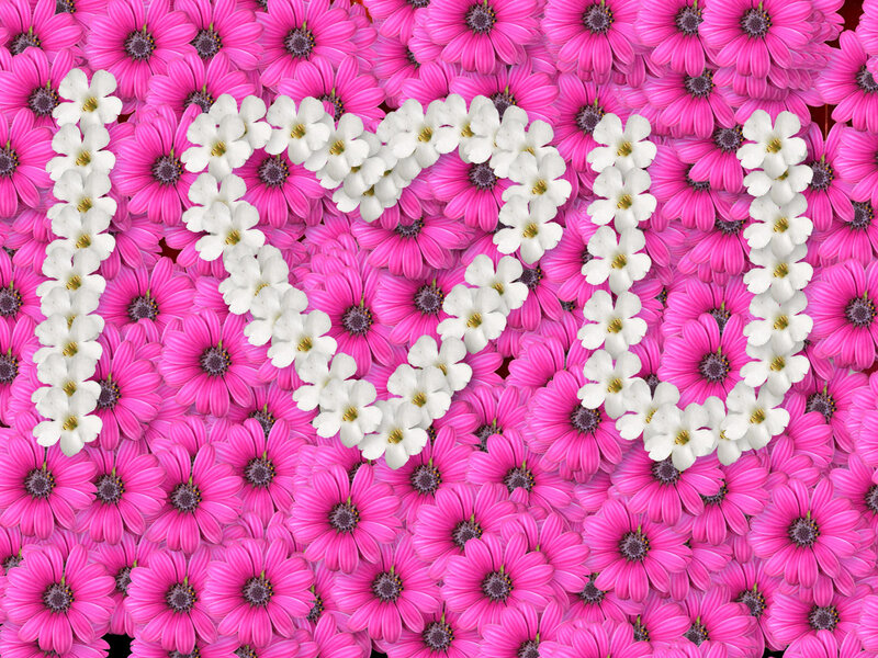 White Flowers Forming Heart