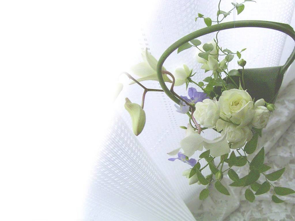white flowers in a basket