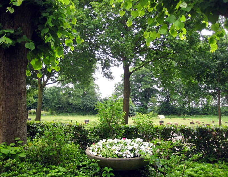 White Flowers in a Bowl — Green