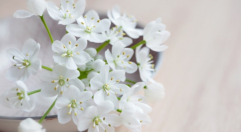 White Flowers in a Bowl — Serene