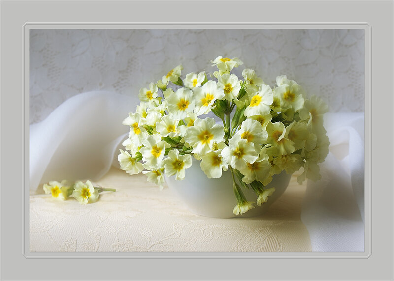 White flowers in a bowl
