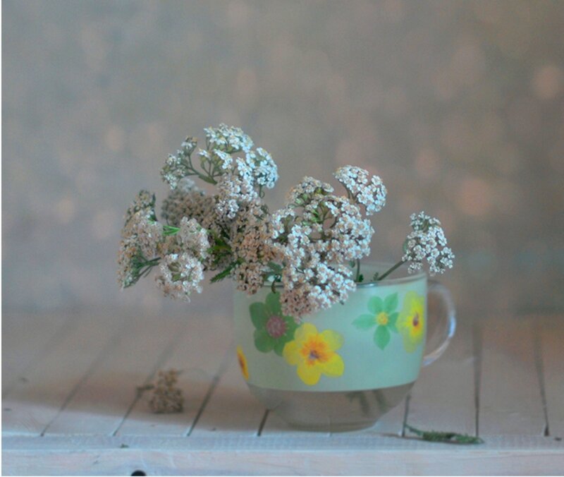 White Flowers in a Cup — Green