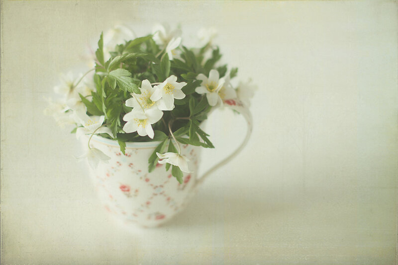 White Flowers in a Cup