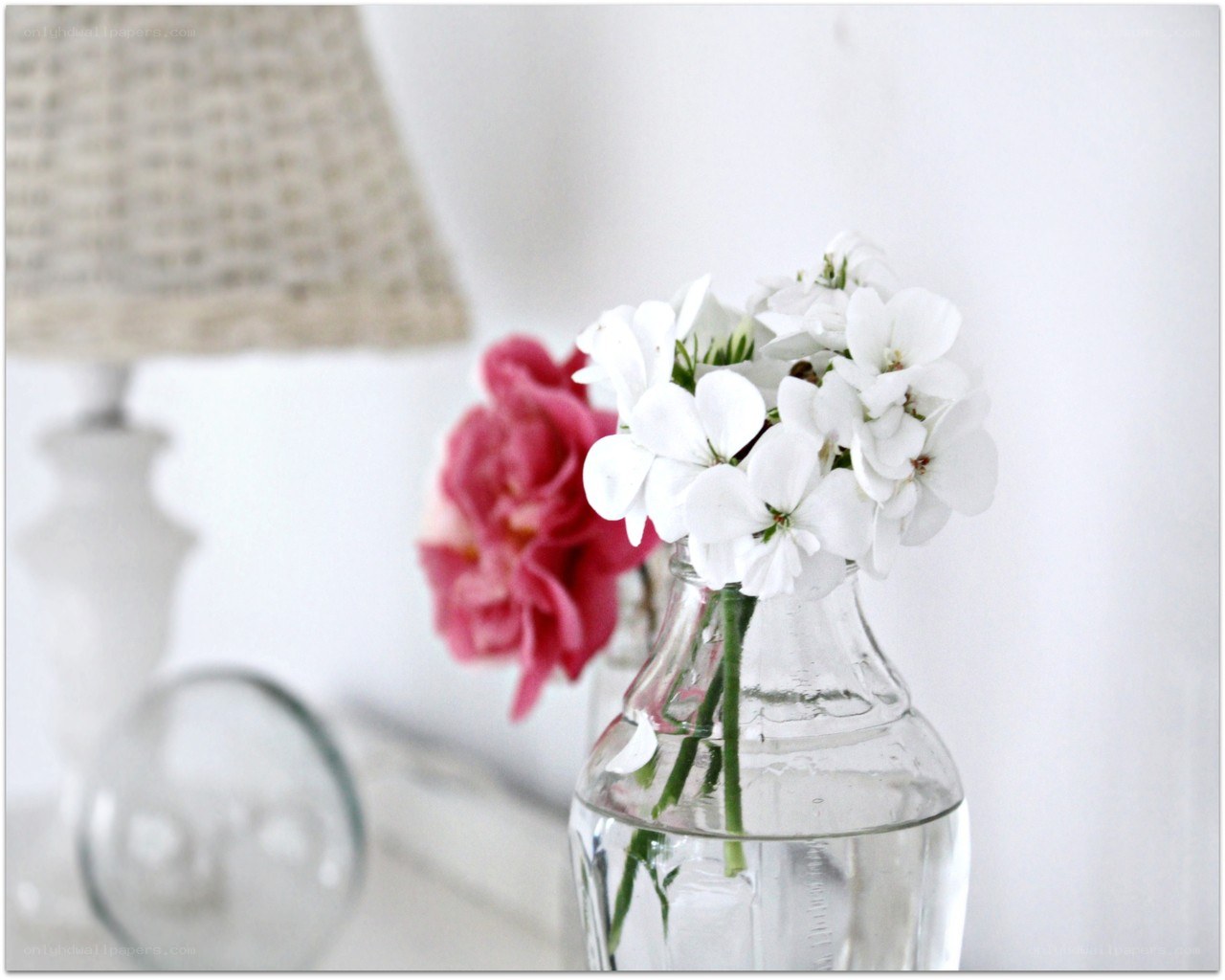 White flowers in a glass bottle