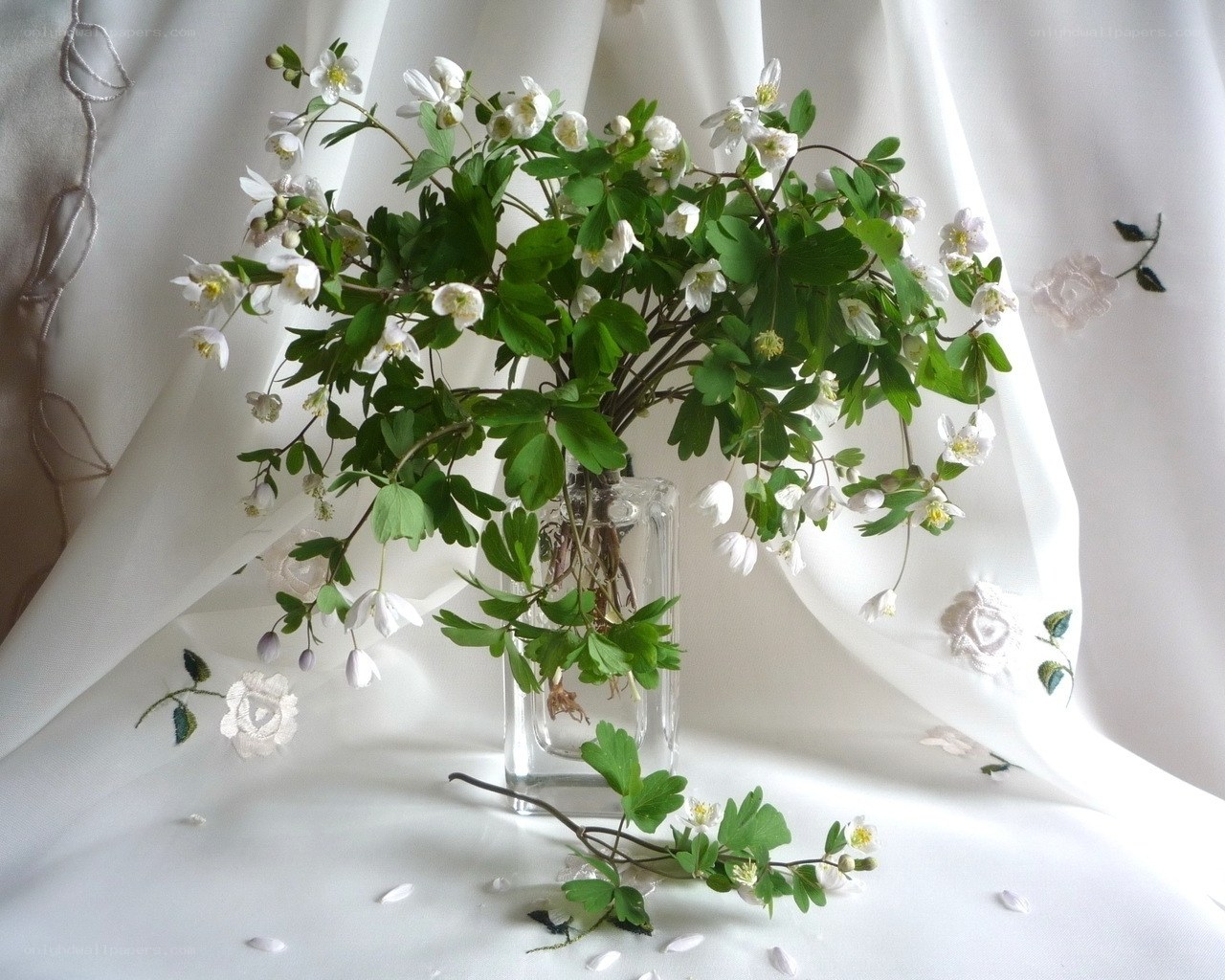 White flowers in a glass vase