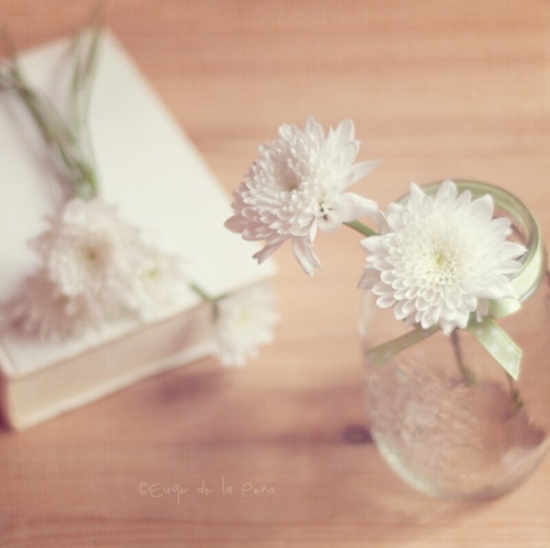 White Flowers in a Jar