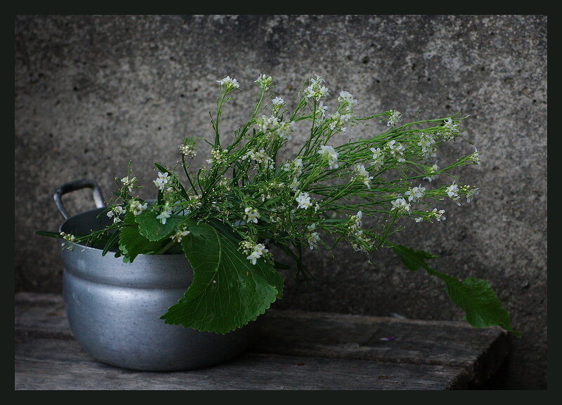 White flowers in a metal pot