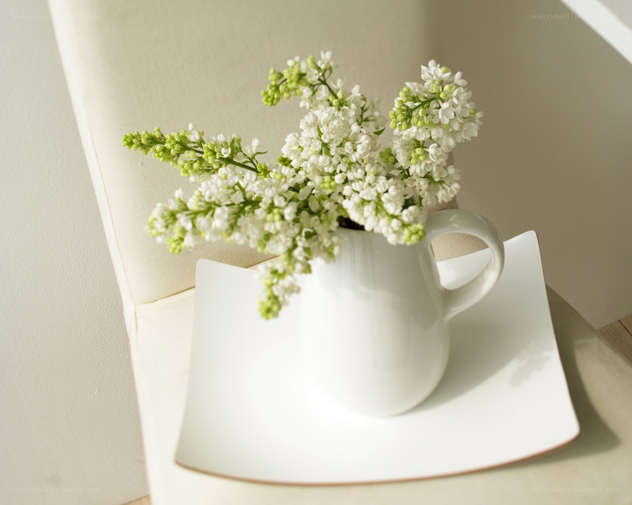 White flowers in a pitcher
