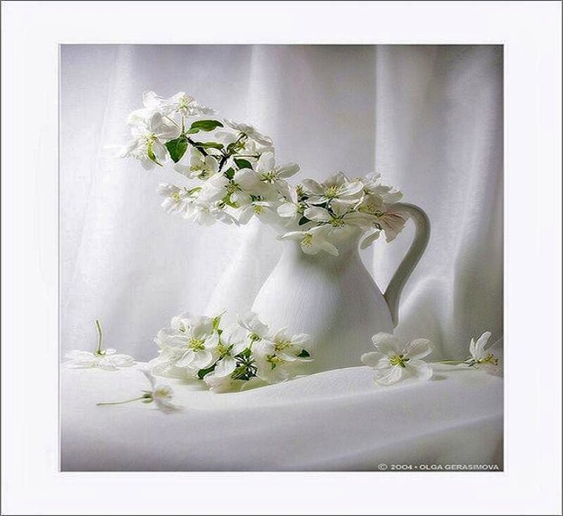 White flowers in a pitcher