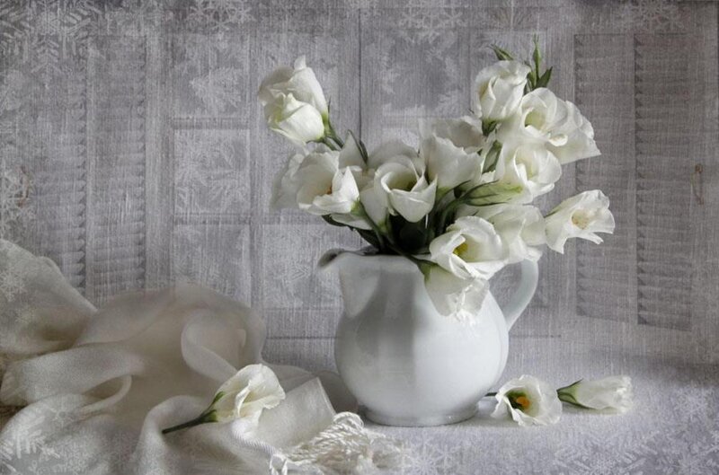 White Flowers in a Pitcher — Serene, Photograph