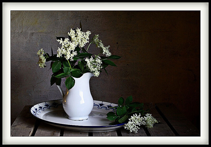 White Flowers in a Pitcher — Serene