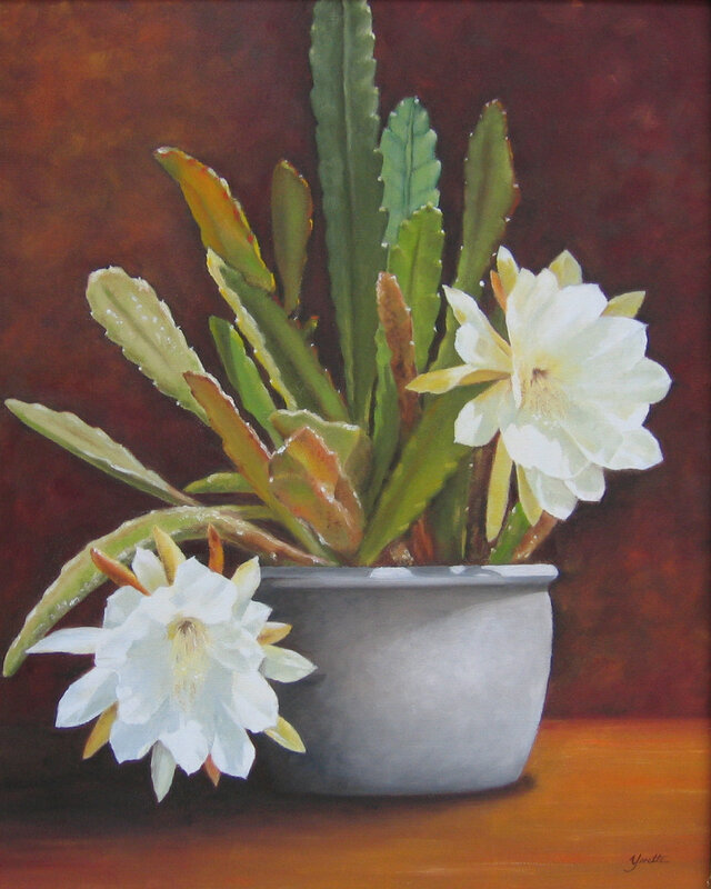 White flowers in a pot