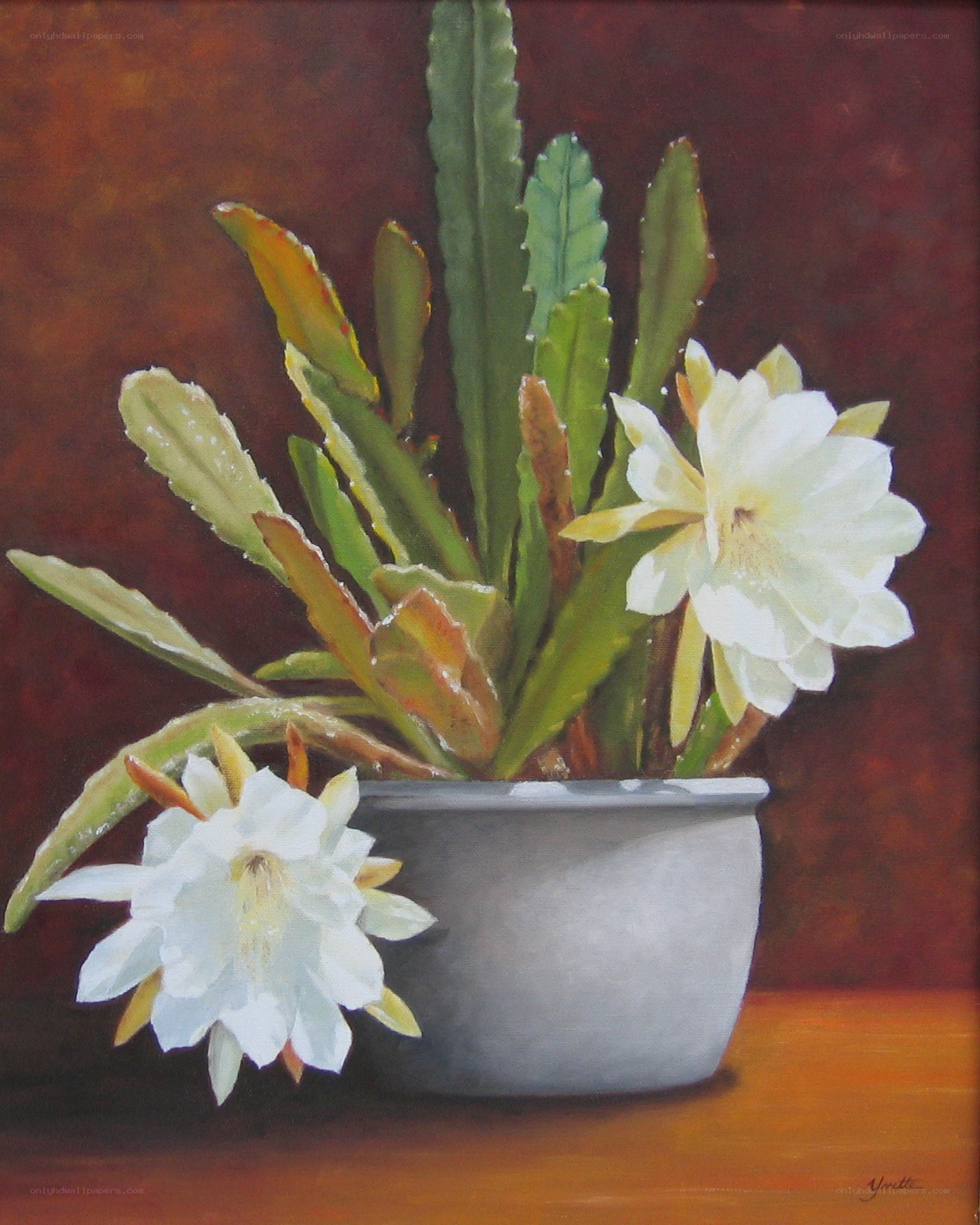 White flowers in a pot